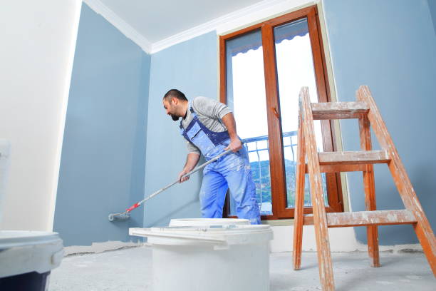 Professional Mold Removal in Sheffield Lake, OH