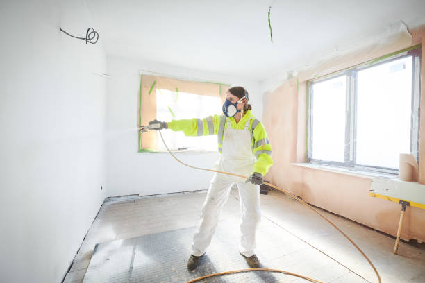 Best Attic Mold Removal  in Sheffield Lake, OH