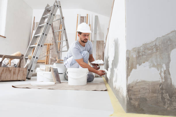 Best Crawl Space Mold Remediation  in Sheffield Lake, OH