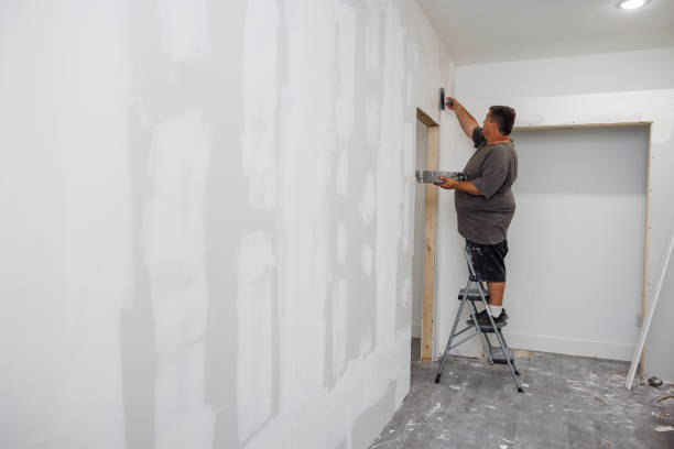 Best Mold Prevention Services  in Sheffield Lake, OH