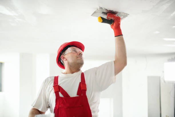 Best Mold-Related Health Consultation  in Sheffield Lake, OH