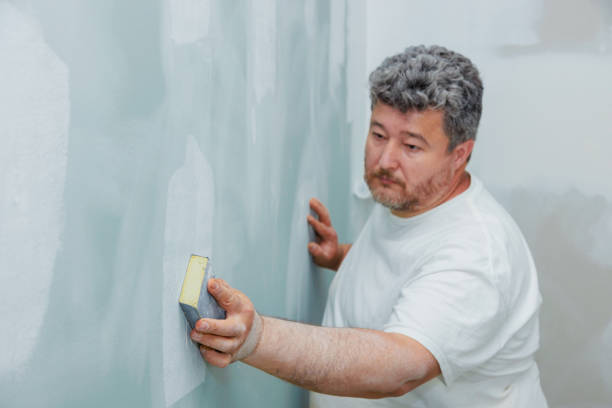 Best Asbestos and Lead Testing During Mold Inspection  in Sheffield Lake, OH
